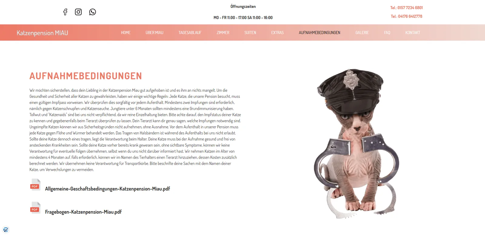 Proberi.ba store — responsive product detail